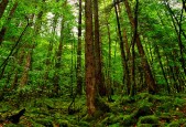 2026 体育彩票世界杯特许玩法详解：如何科学提高中奖概率？